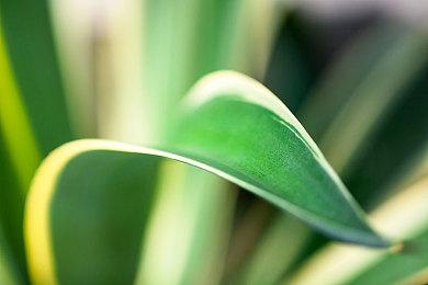 官宣：Xbox直面会19日4点举行 《地狱之刃2》等信息